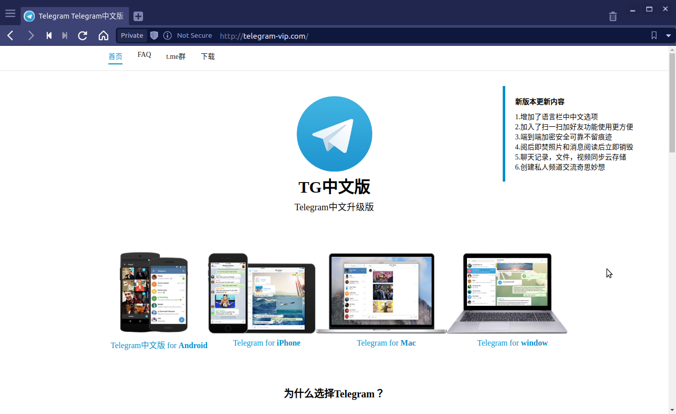 Figure 1. 假的中文版 Telegram 網站